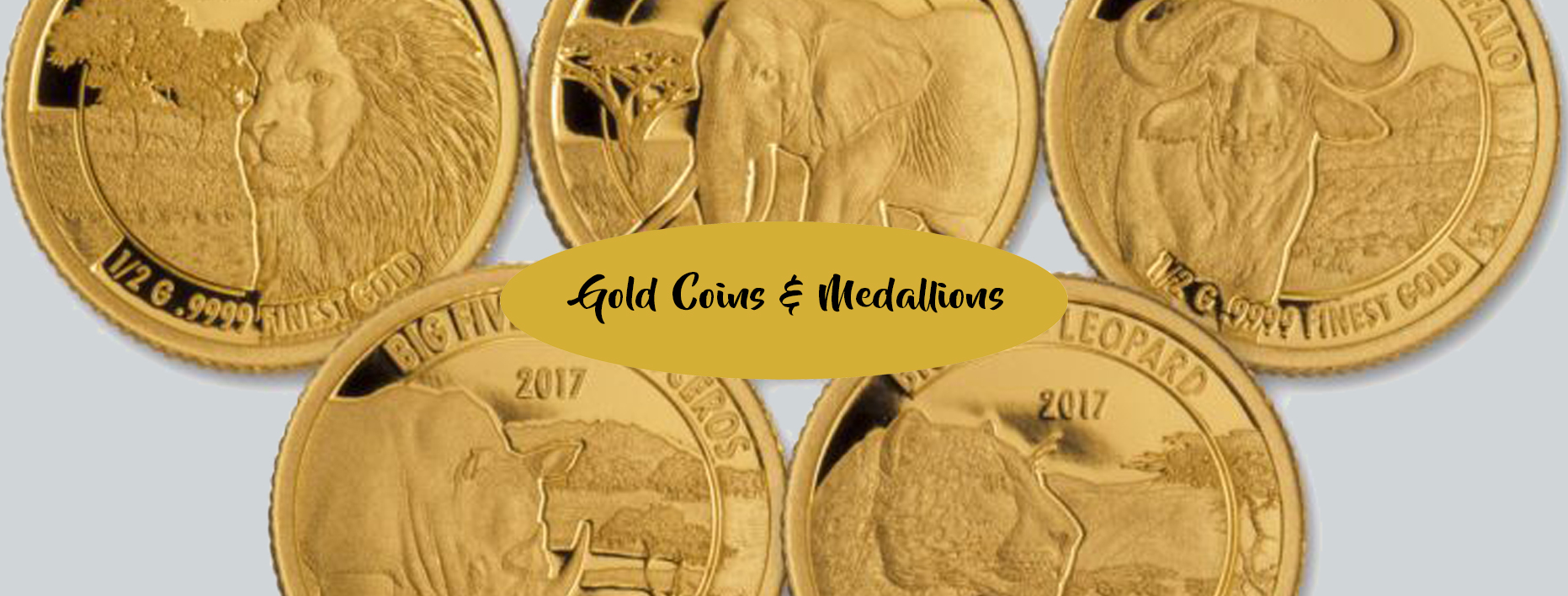 header image copy